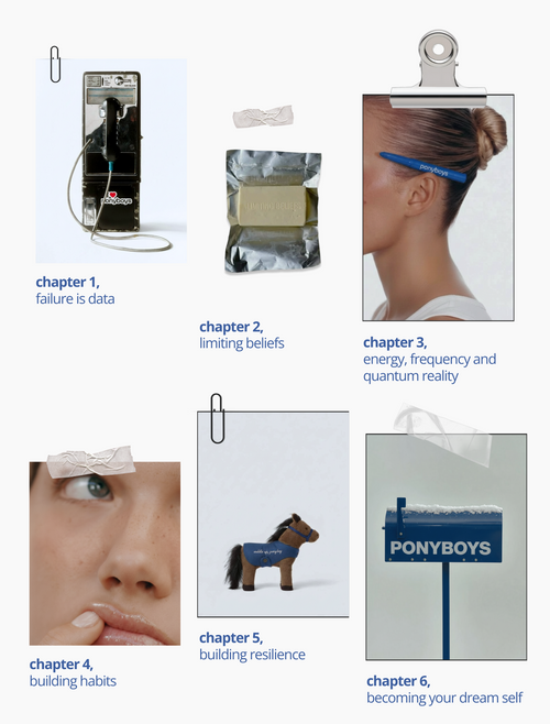 ponyboys digital guide